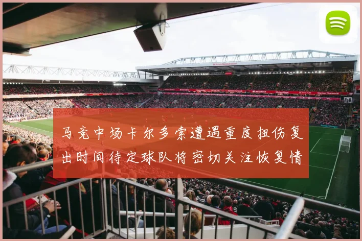 马竞中场卡尔多索遭遇重度扭伤复出时间待定球队将密切关注恢复情况